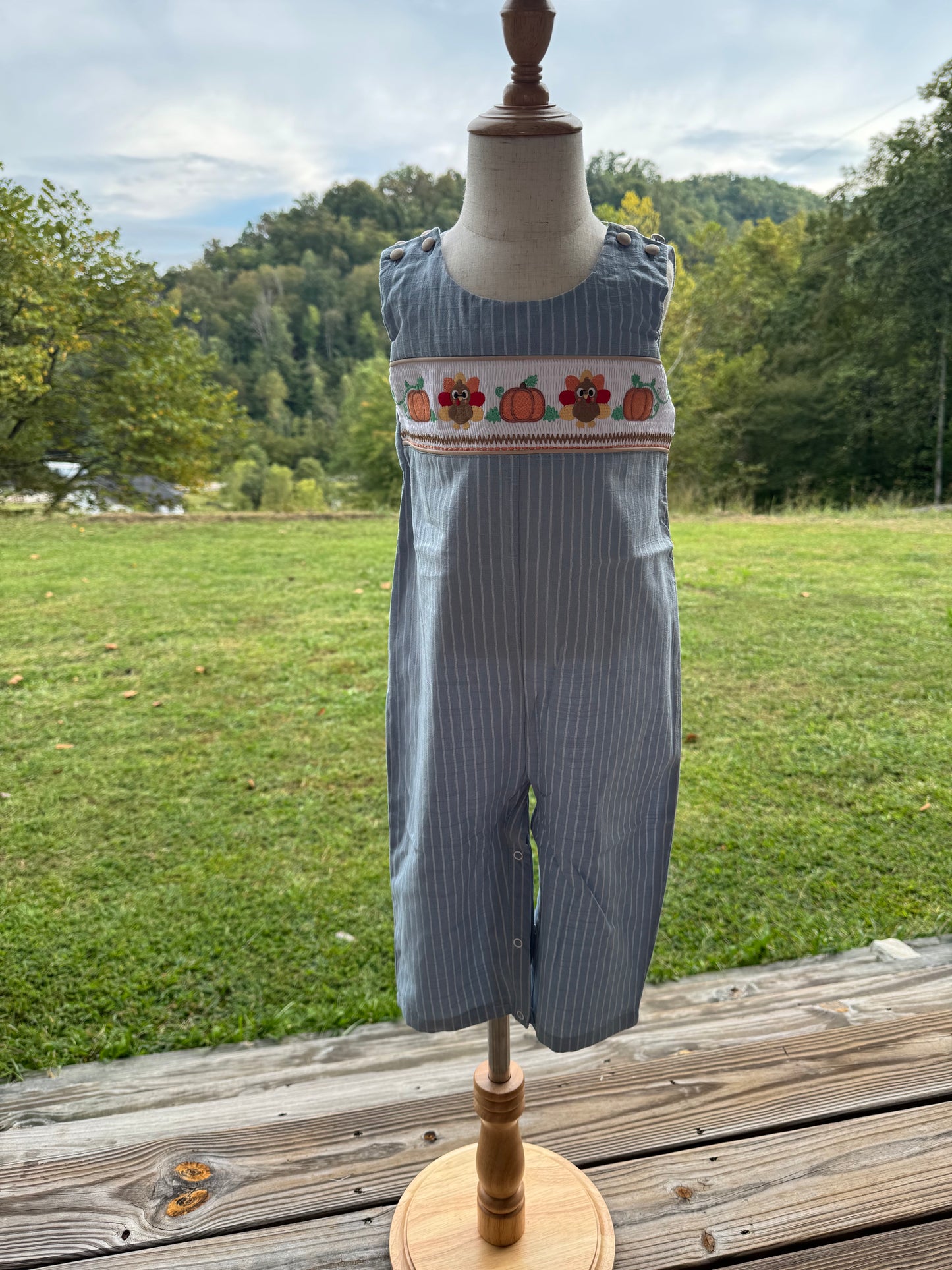 Light Blue Pinstripe Turkey Smocked Overalls