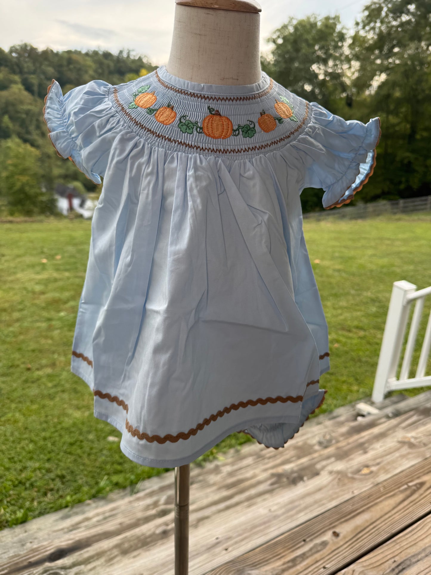 Blue Pumpkin Smocked Dress and Bloomers Set